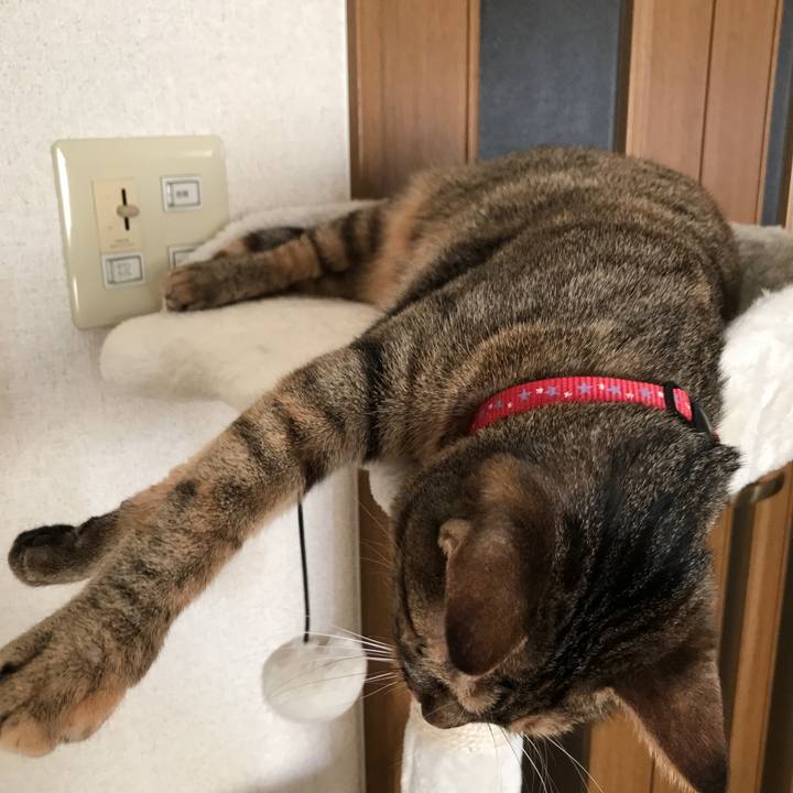 B66f3181 c944 42a7 8685 cc912a5d5351 1597057239989