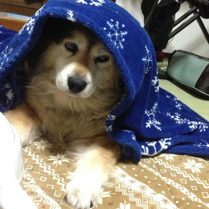 B66f5391 fa74 4516 bd25 5c793592516c 1625362138498