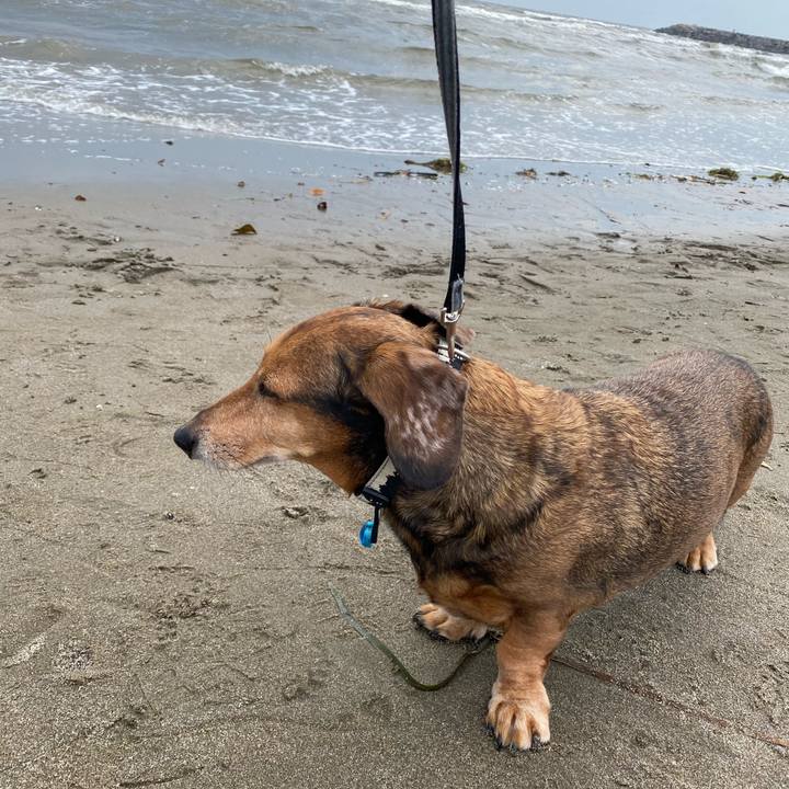 B66f581e 29bc 497b a62f 4c41ed31c343 1619944297451