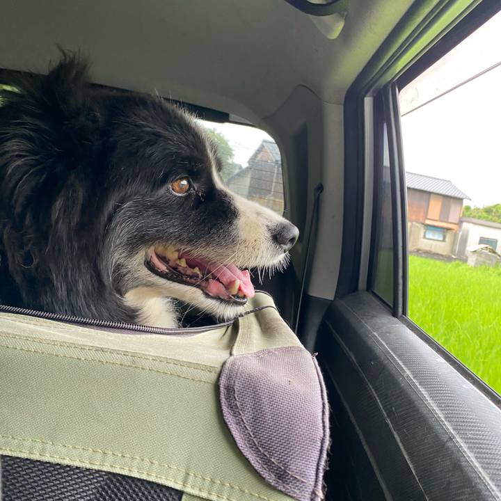 B66f5afa 0220 412b 8123 f3edb0832a84 1692136782943