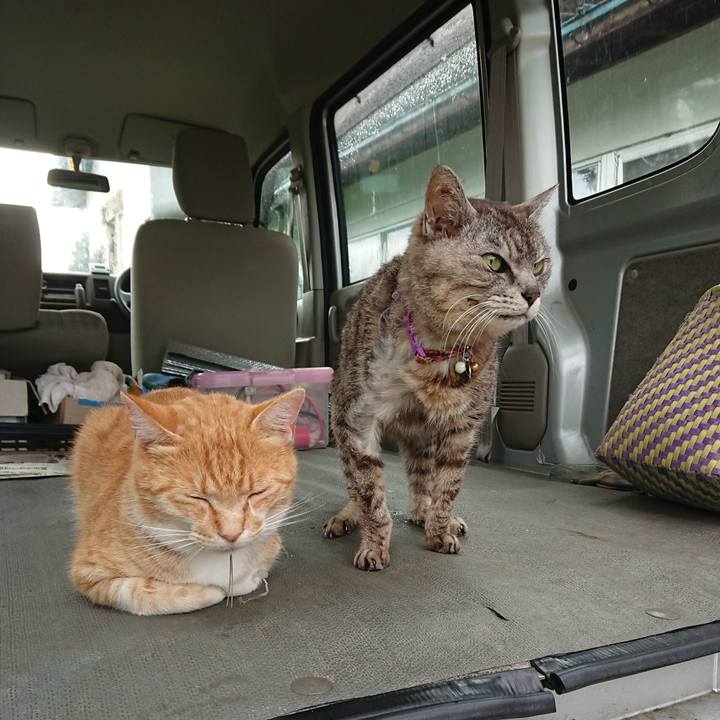 B66f842c aa57 4f05 b98c b1e81fa83fdc 1593593744823