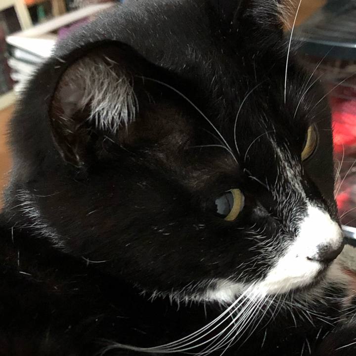 B66fc1a2 3e82 4a1d ada2 33014fa74060 1579931017292