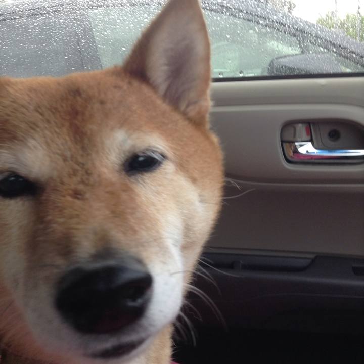 B66fd9cb fd04 46dc 8e74 6e4ddc40361f 1529467494859