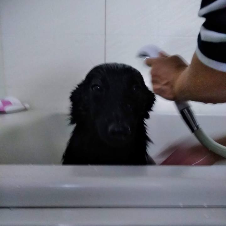 B66fe6f1 eadd 4196 864d e9deb0248992 1557019526355