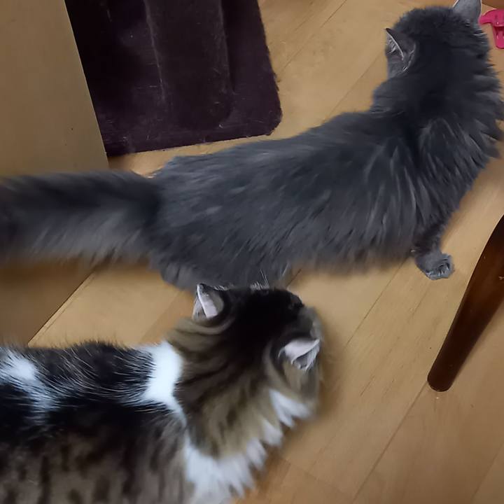 B66ff783 2cc6 4a77 a0a6 48e38c4a3ebb 1695682965106