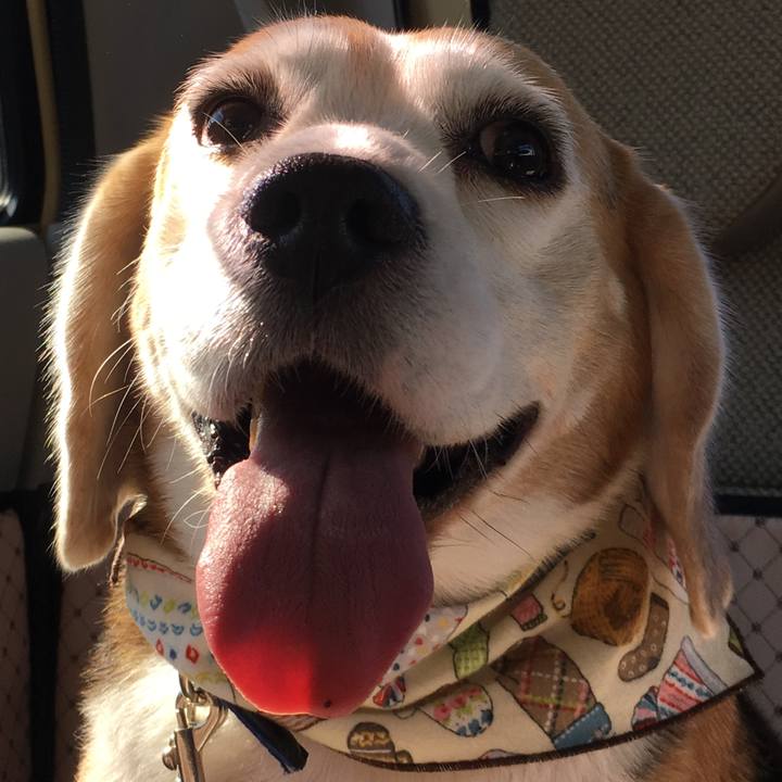 B6701109 4ee0 43a3 8fd2 3d15fedc5727 1511932024343