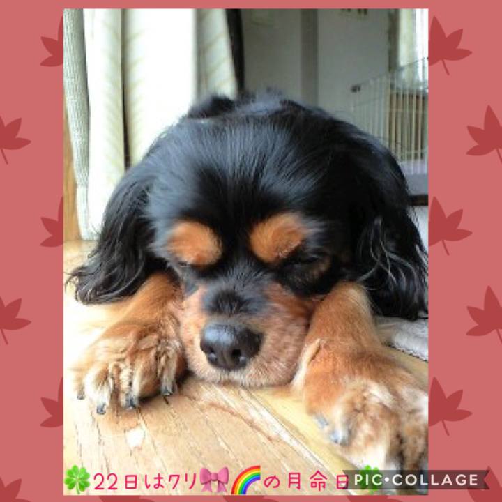 B67030b7 7d29 473b b1cb e7b657dc8dd3 1569127257615