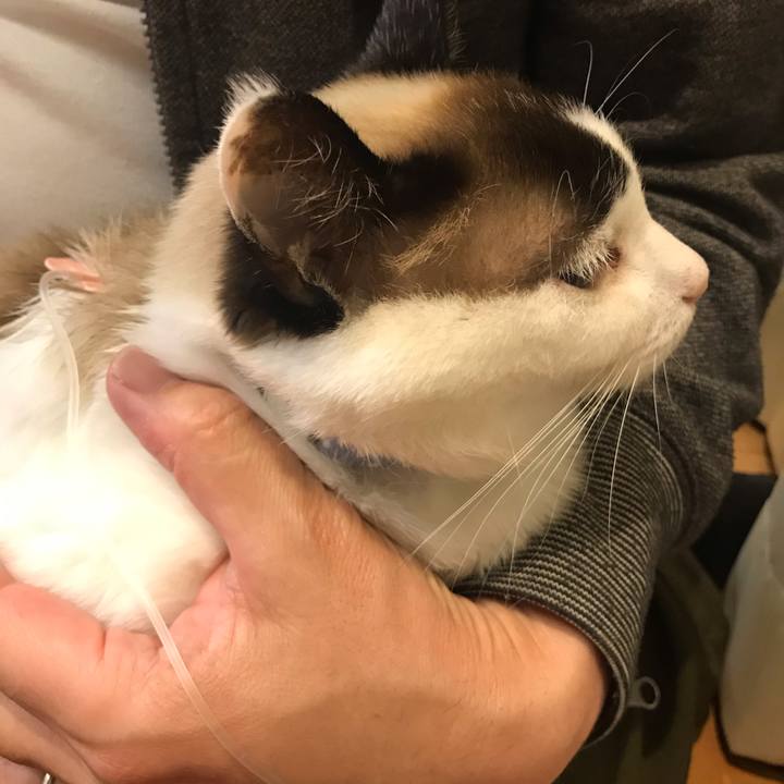 B6703838 b9fa 4978 867f 198bd43e5c16 1587561740504