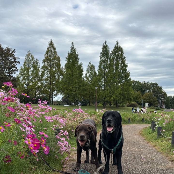 B6704e2f 566f 4c86 b189 df38cca98c0e 1760878516958