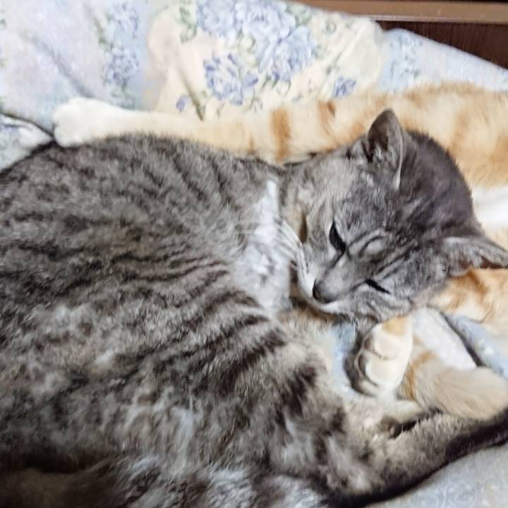 B670760a 9f99 44af b39e 28a995e03d8f 1590840272909