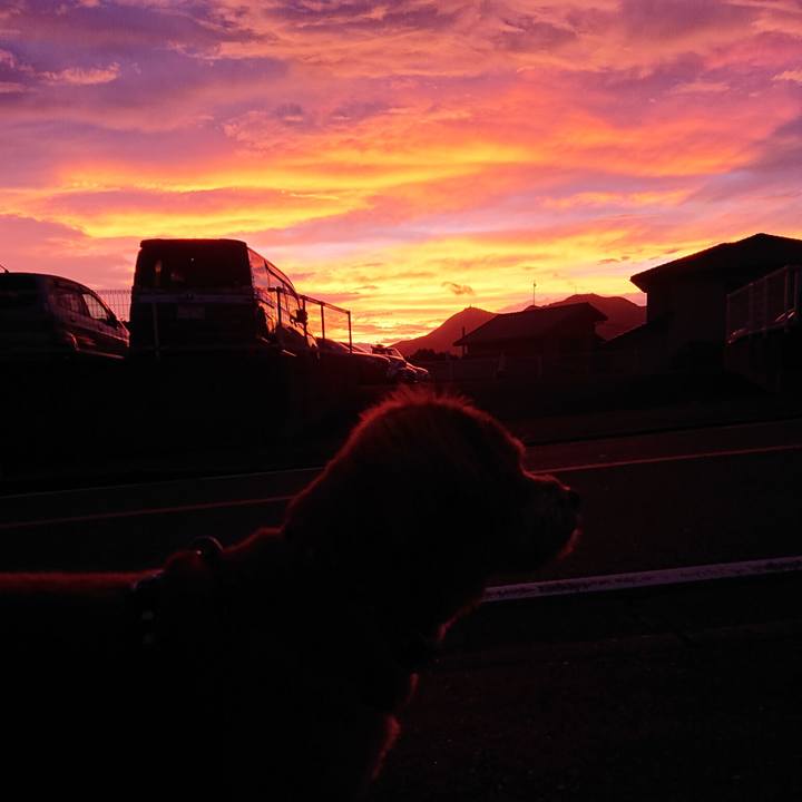 B670a5a3 ee34 466c 9dc6 cf586dc1c60a 1567805296769