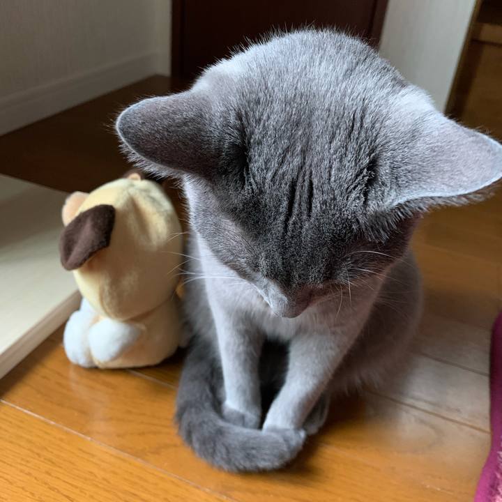 B670b779 d1b5 46d7 a544 15de773b2338 1594243947792