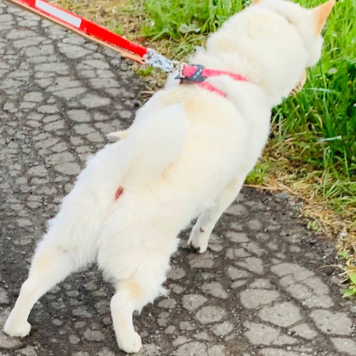 B670d4a2 b2eb 43c2 8fee 779389b6bb01 1590181247128