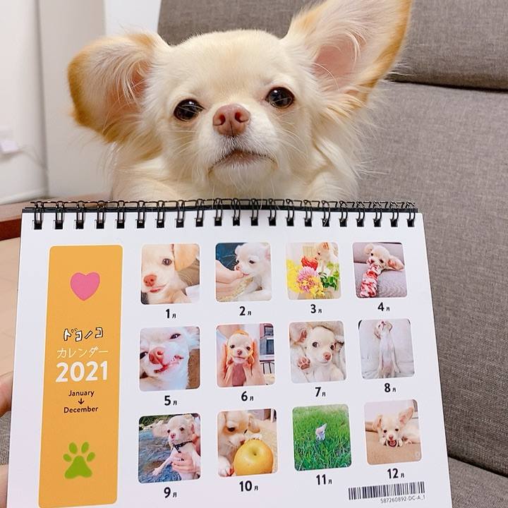 B67129ad eb37 4af2 ae07 923a7a1359e5 1607855728861