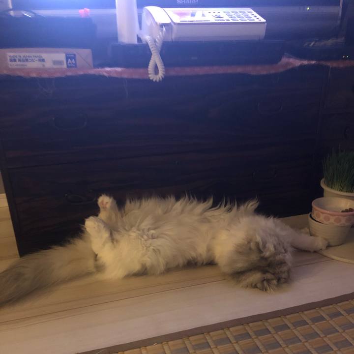 B6712fec 324b 43d8 9eb6 fc6ef2398f11 1663508675017