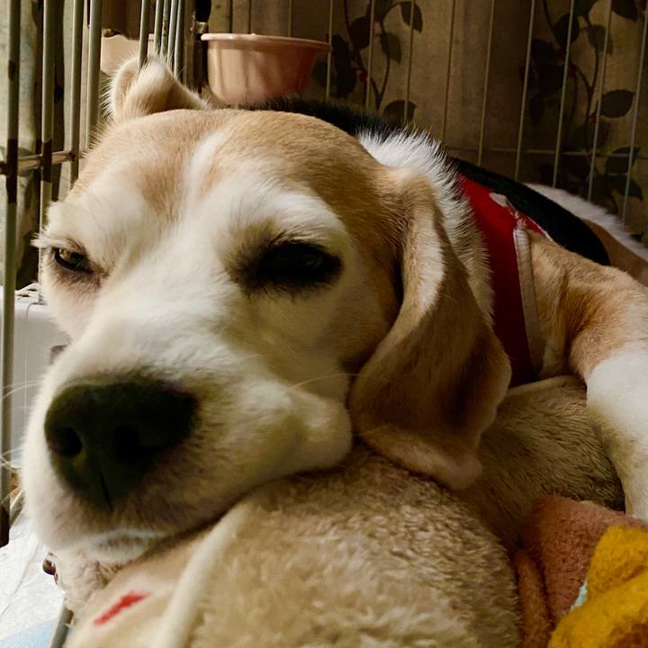 B6713406 e3bb 4c64 9df0 bc01689bcf7e 1588411211668