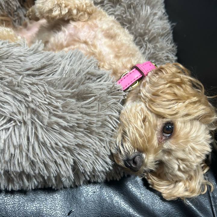 B67149c1 de64 48a6 b00d f257db1f348c 1701450893940