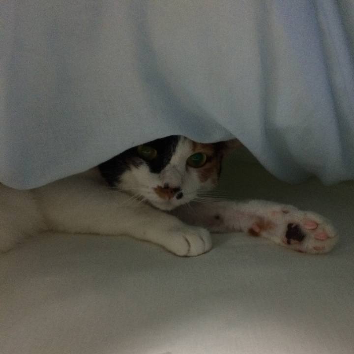 B6716def d460 4da8 8f1c 04d8b9f8f344 1581830158065