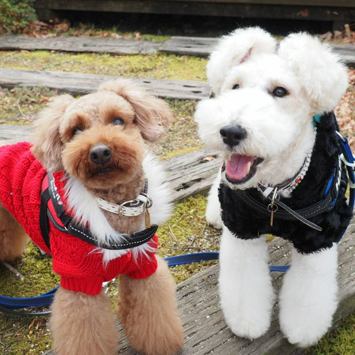 B6718d79 70e0 4ae2 876a 333982b04c0b 1514130189727