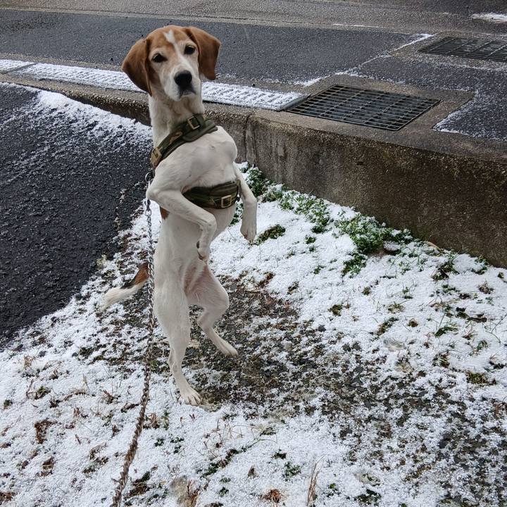 B671b4e4 9428 48a2 a8da 83cf5b3a194c 1770533536823