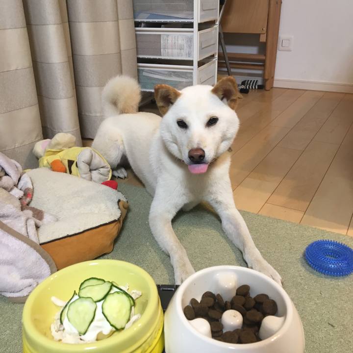 B671c70e 0dab 493d b401 65941ff763bb 1531659046272