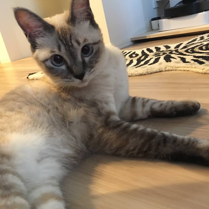 B6721d85 21f8 4ffb bda7 a8a342c39cf3 1569238404463