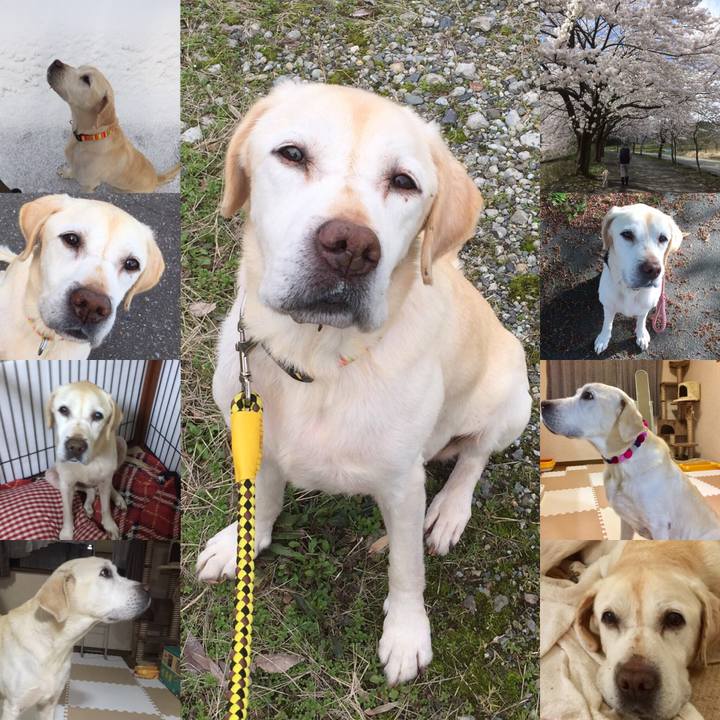 B6723b47 efea 42c6 bb48 0b78d1e892c1 1557230572745