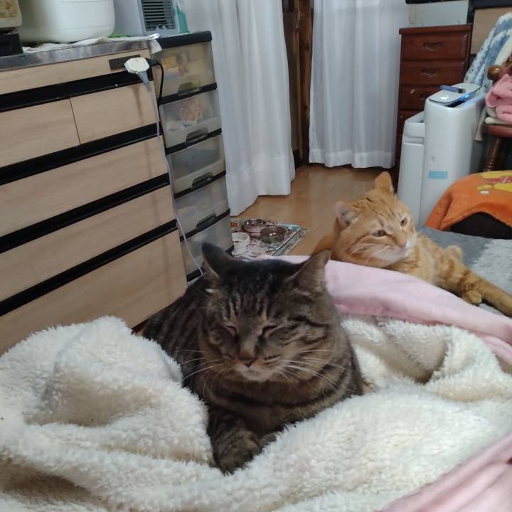 B6723e5a d394 4516 a438 89dc7f7d10d7 1677466531807