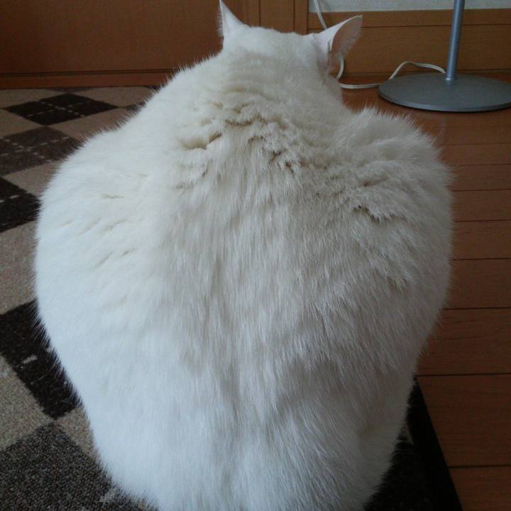 B6725de3 4312 4417 9de8 274b7867ea23 1517189263502