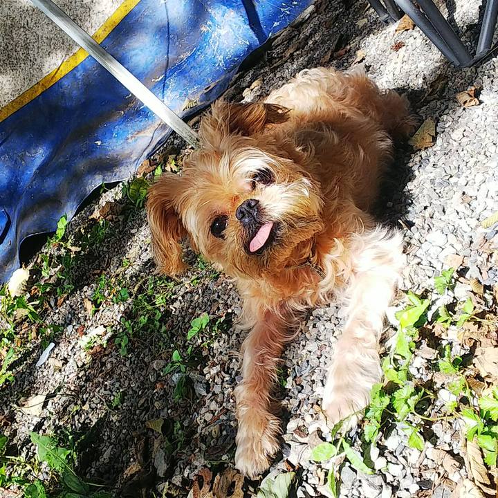 B672cbb0 b2a3 4ed6 ba2b 1d5cfd148aab 1568678873086