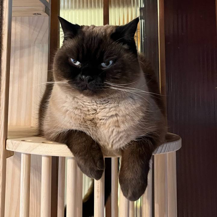 B672ef03 4750 4929 a52b 73e6eb265ff8 1709365213397