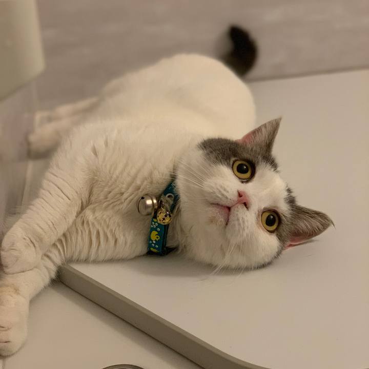 B6731794 e9ed 40c8 aa30 8461514d92b3 1654694535931