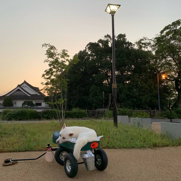 B673236c 42d8 4a54 9c7c 6add38de4824 1569877233915