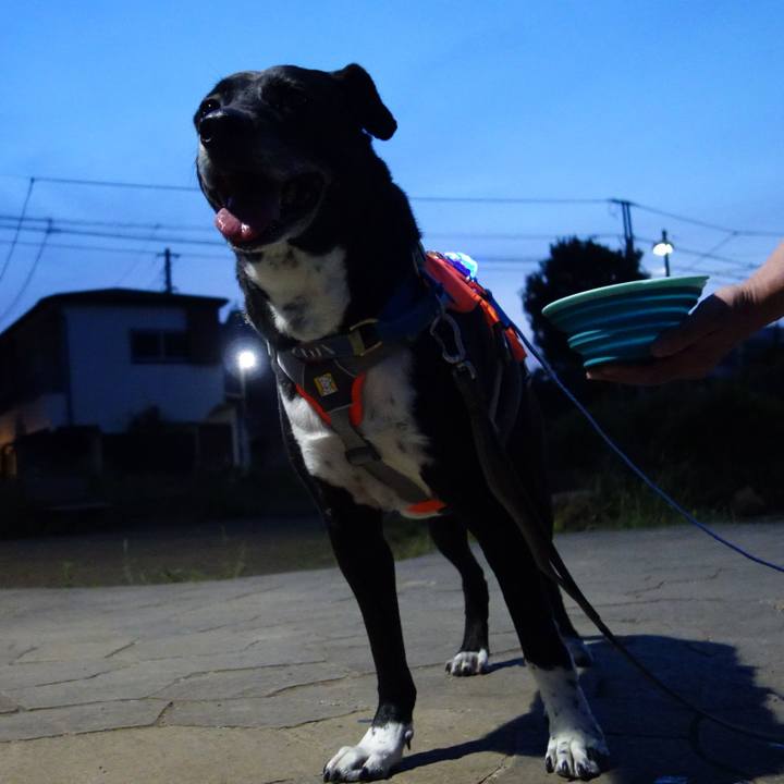 B67340a7 f110 487a 8823 2503ae9fe9b6 1716030688525