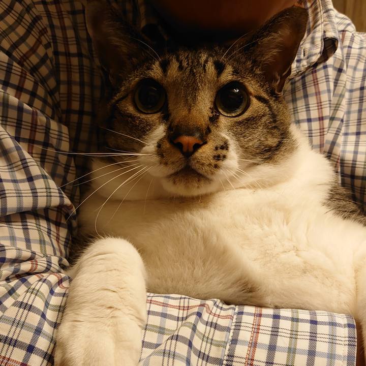 B6736ba5 f017 482e b5b9 dce28391332f 1621690192072