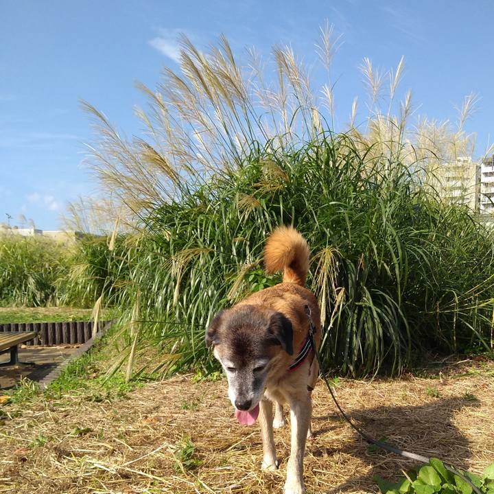 B6737fbc a2f5 419d 9da8 bce351ffcc6a 1569888478514