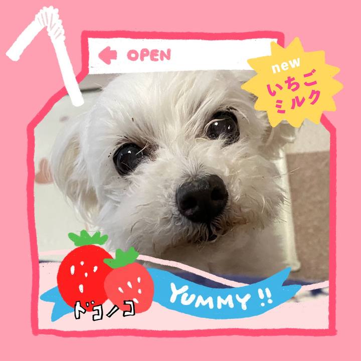 B6738617 a061 4002 94a5 6b3cb55e6512 1711451991945