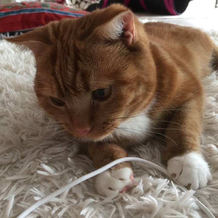 B67392a6 1a5c 4f91 a753 07aa21bb3050 1567302689819