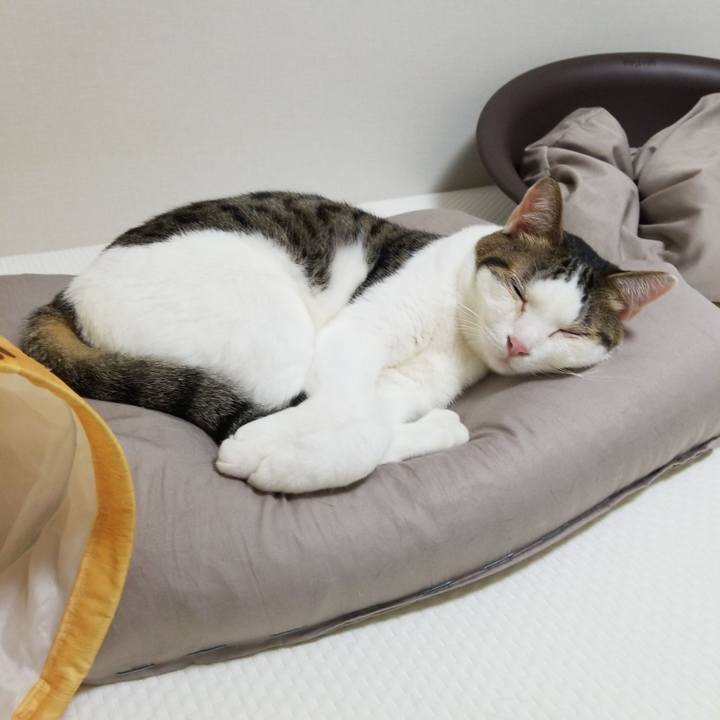 B673ce09 5260 49ad 85ac ffd3b26fd641 1588680671219