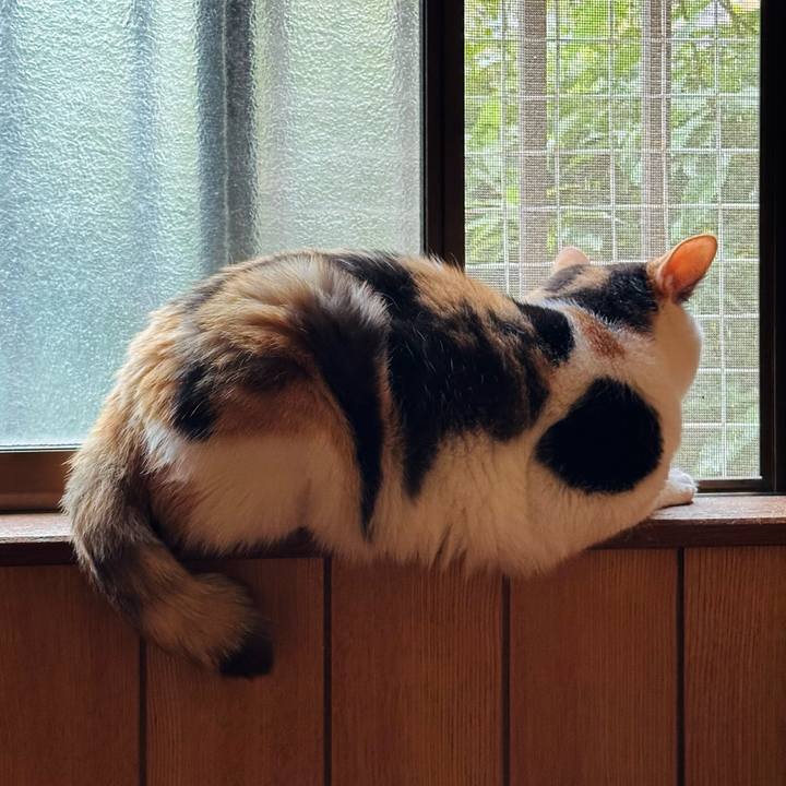 B673e1ef 3f2f 4816 92bc ed86d0945c9d 1724806229366