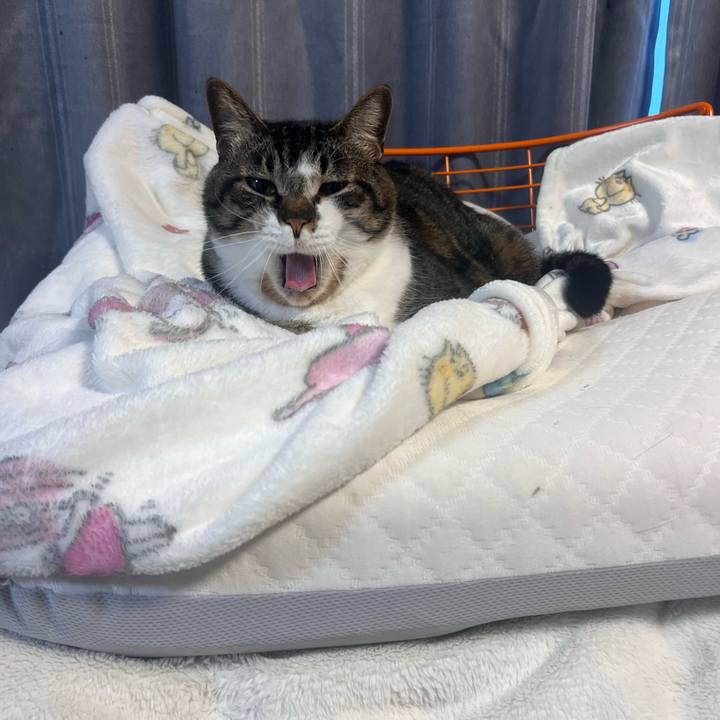 B673e855 7cfa 44b5 ac86 043a7d296b79 1768374253938