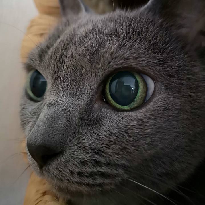 B673efab 60a9 43cf a692 ee1276c42988 1571699021978