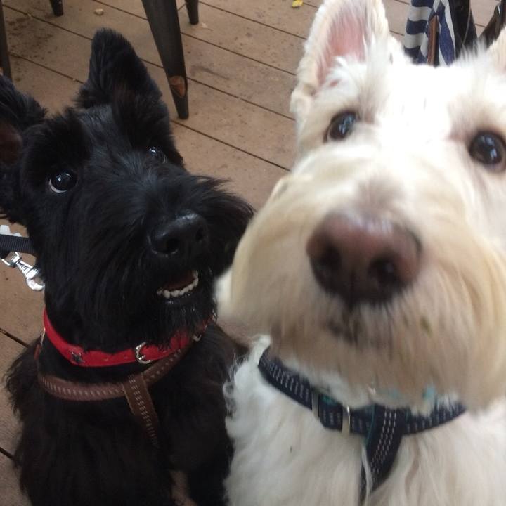 B673fc5f 6899 404e 96f6 5d045c94f99a 1533337973453