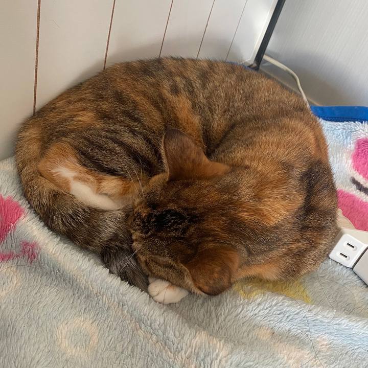 B6742ba4 977e 4514 a6ea 6af7f440a520 1580621627556