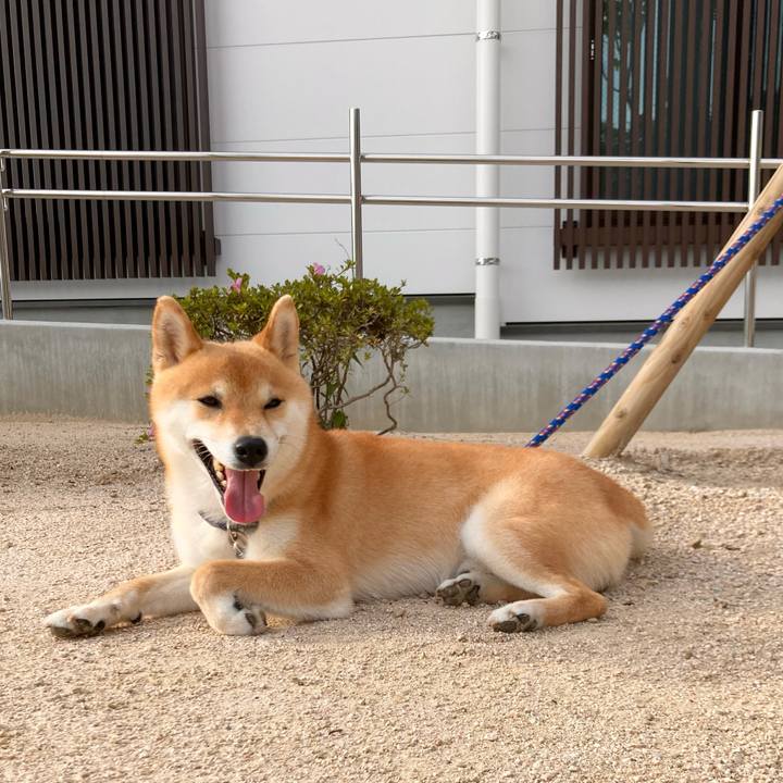 B6742f55 7cfb 487a 92c7 e7271a65471b 1685178671081