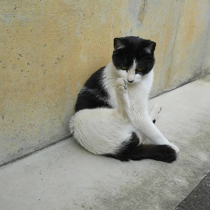 B6743e1e 714b 4c31 ab3b cb1a3a960a13 1555239159090