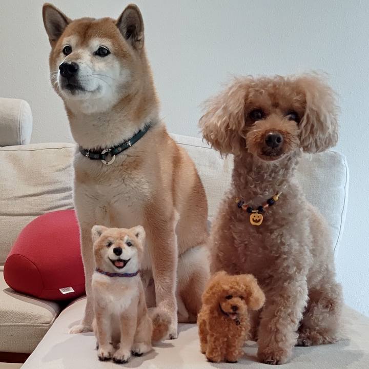 B6744bba 1dcd 4eaf 8861 bcd2132dfc2b 1602588212028