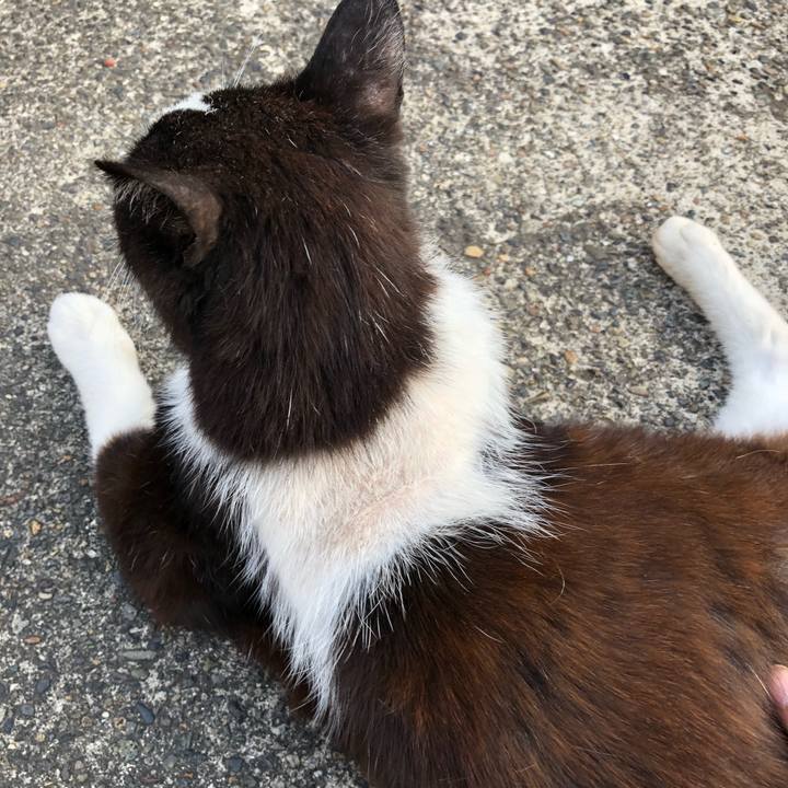 B6744dfd 046a 4401 b945 8bf61051bcc4 1528550653746