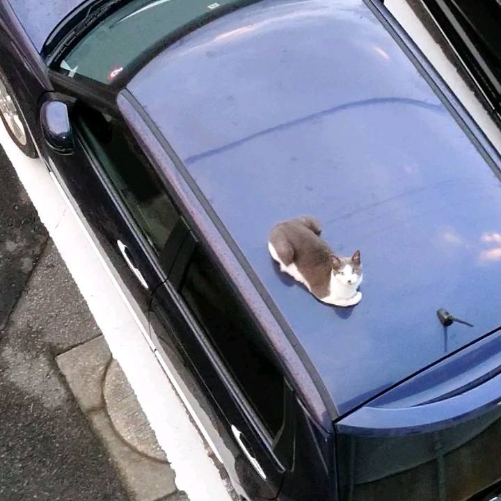 B6746e5d ce56 4160 8806 115127d55b02 1599943457707