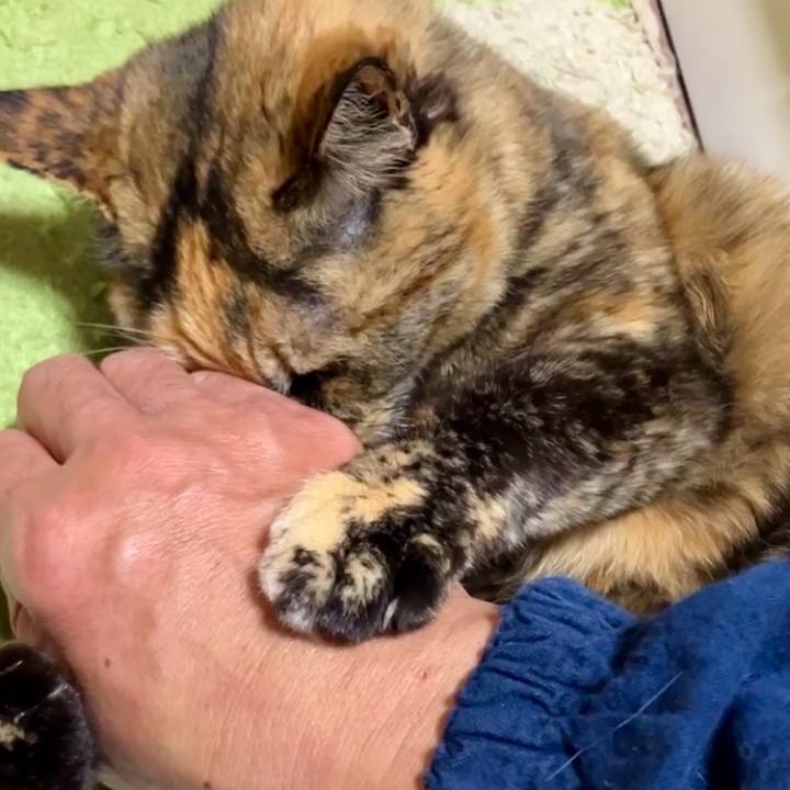 B6746f17 3153 485a ad27 bd1fd2704e51 1736077283497